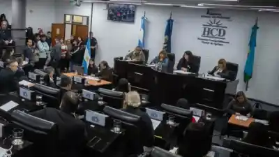 La foto del bebé de 12 días que hizo estallar la sesión del Concejo de Quilmes
