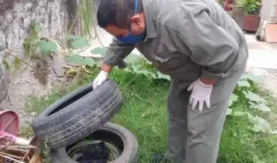 Alarma sanitaria: más de 200 casos de chikungunya en una semana y un dato que preocupa