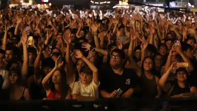 La Muni escondió objetos en la Isla 132 y cada uno delata a un artista del festival