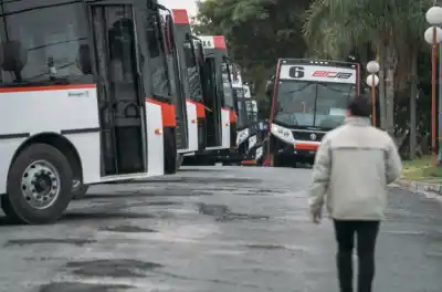 El servicio que se queda con el 60% de los pasajeros y la pulseada que Paraná quiere cerrar