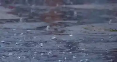 Alerta amarilla en Salta: las ráfagas de hasta 90 km/h que complican a media provincia
