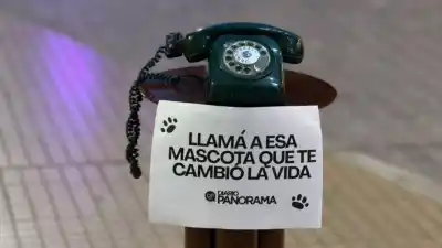 “Te extraño todos los días”: el mensaje que un santiagueño le dedicó a su mascota y conmovió a todos