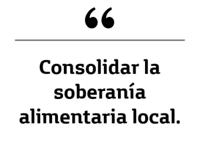 La Legislatura define el futuro de las chacras de la Margen Sur: qué cambia para quienes las ocupan