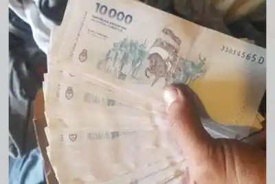 Le pidió el baño para su hijo, entró a la casa de una jubilada y se llevó un botín millonario
