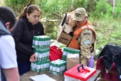Inundación en la Isla Soto: el operativo que llegó hasta el ganado y los animales