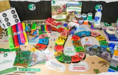 El concurso del yaguareté que movilizó a 32 escuelas: los tres trabajos que el jurado no pudo ignorar