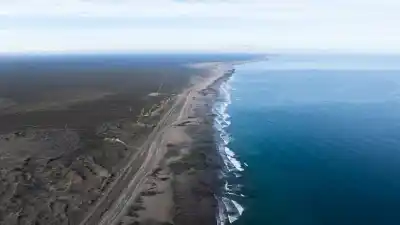 Río Negro quiere blindar 273.300 hectáreas del Golfo: las cinco especies que quedan bajo resguardo