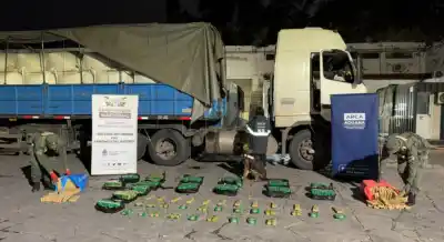 Salió de Salta con destino a Córdoba, pero en el kilómetro 748 lo frenaron y abrieron el semirremolque