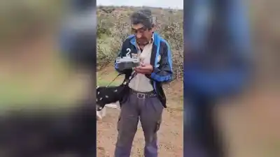 Perdió 60 chivas, un dron las encontró a 18 km y lo que hizo al verlas te parte el alma