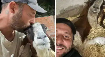 El desgarrador final de Renata, la cabra que se volvió símbolo tras las inundaciones