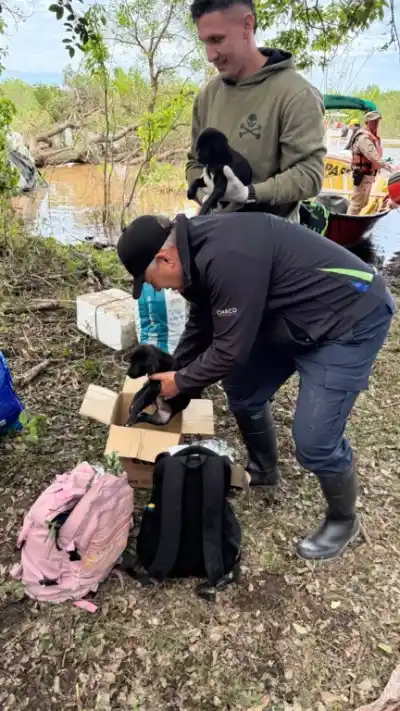 167 personas y más de 500 animales quedaron aislados por la crecida: el operativo que los alcanzó