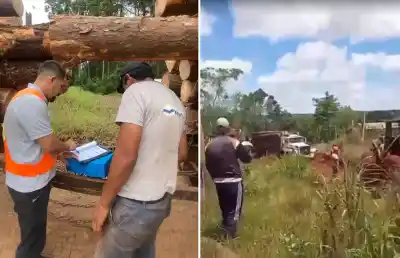Los camiones cargados de madera y yerba ya no pueden pasar por Pueblo Illia: el motivo que indigna a los productores