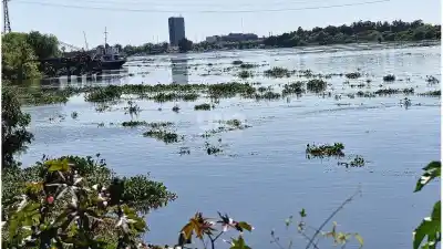 El río ya está en 4,23 metros y el INA anticipa hasta dónde llegará en Santa Fe