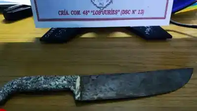 Un joven con cuchillo carnicero amenazó a la policía tras una pelea familiar