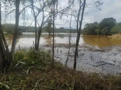 El Paraná no da tregua: tres cruces con Paraguay siguen cortados y un puerto ya está en evacuación