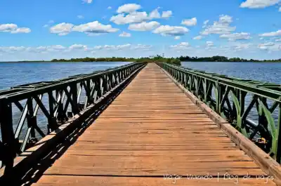 El puente de acceso a Carlos Pellegrini cierra una semana: quiénes podrán cruzar igual