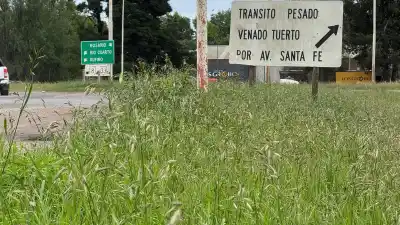 En la rotonda de la 8 y la 33 creció algo que ya no deja ver a los otros autos