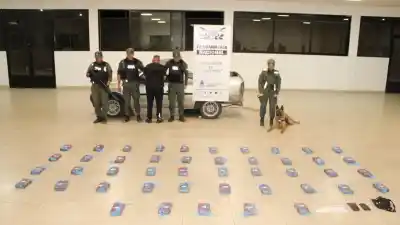 Gendarmes revisaron una alfombra y destaparon lo que viajaba en la pick up
