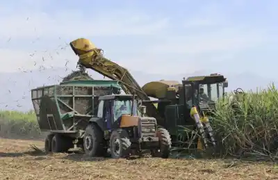 Las lluvias le pegaron a la zafra tucumana: los ingenios molieron casi 20.000 toneladas menos por día