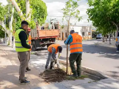 Capital sumó 502 árboles nuevos y ya tiene fecha para el número que falta