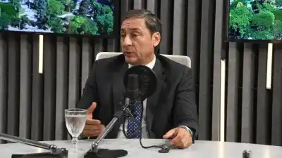 Silva Neder apuntó contra Nación: “El gobierno percibe y no envía a las provincias”