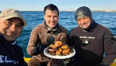 Buzos bajan 25 metros por un tesoro del golfo San José: la apuesta del CONICET para que no se agote