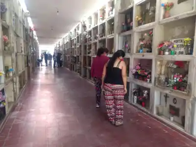 Día de los Difuntos en Salta: el detalle con las tumbas que el Municipio pidió cambiar