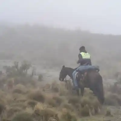 Lo buscaban en el Ñuñorco y aparecieron cuatro mendocinos: quiénes se sumaron al rastrillaje por Moyano