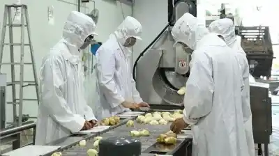 El plan de Río Negro para que la producción no se vaya en crudo: hasta $500 millones por equipo