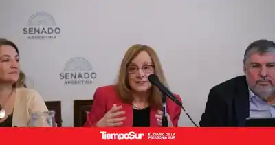 En Río Gallegos la factura del gas pasó de $2.880 a $283.110 y los senadores patagónicos van por una ley