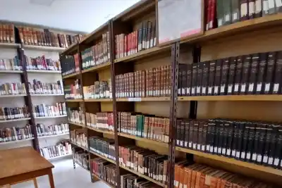La biblioteca que tiene 100.000 libros salió a la calle y el centro de San Luis no lo esperaba