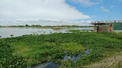 El Paraná sigue subiendo y ya se ve lo que aparece en los pilares del viejo puente