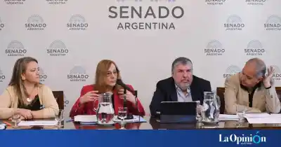 La factura de gas en Río Gallegos pasó de $2.880 a $283.110: seis senadores van por el cambio