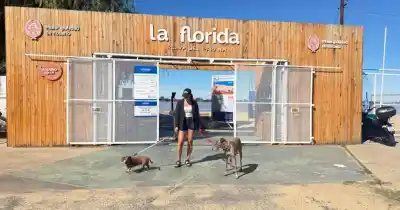 Un clásico balneario ahora permite el ingreso de mascotas: ¿qué cambia?