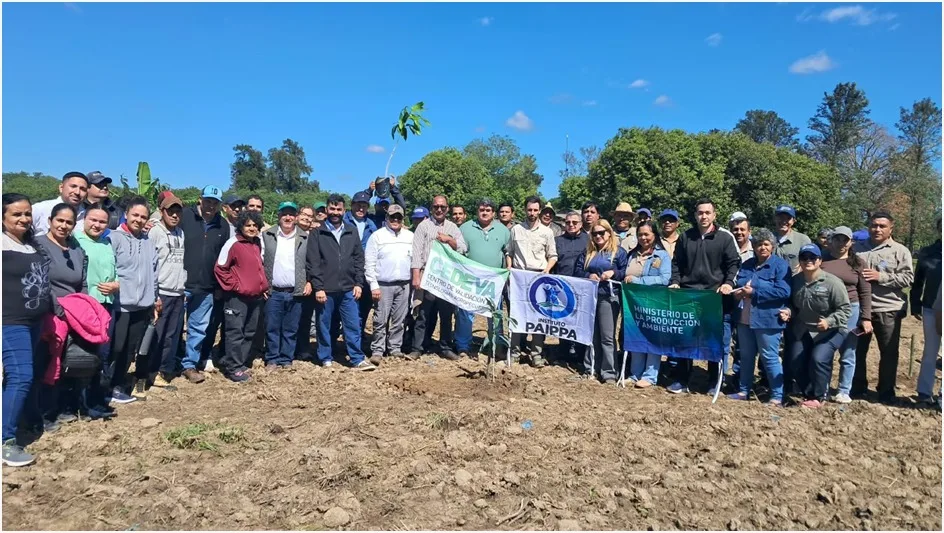 La resolución que cambia el subsidio de luz en Formosa: 500 kWh en verano