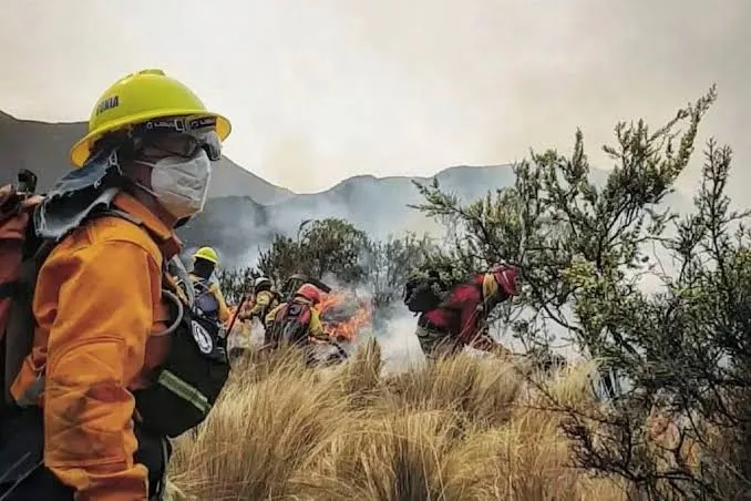 Córdoba: 280 incendios en un trimestre, pero el dato que sorprende es otro