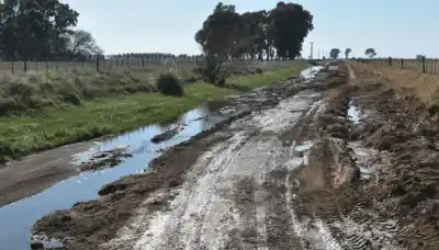 Productores del sur bonaerense reclaman por caminos rurales y tasas viales