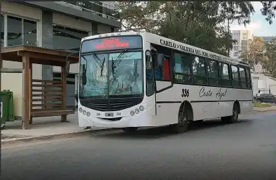 Aumento del 21% en el boleto de colectivo en Pinamar: ¿cómo quedan las tarifas?