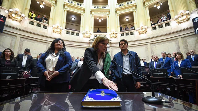Juró en el Senado la reemplazante de Pagotto: quién es la empresaria riojana que llega de la mano de los Menem