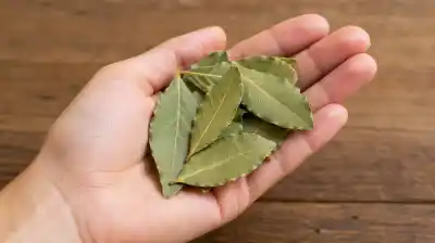 Dónde poner laurel en mayo para que la plata no falte