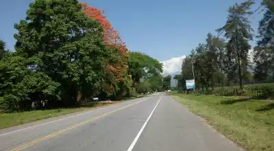 Tiempo veraniego en Tucumán: Soleado y Cálido