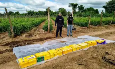 Tucumán, nuevo centro de acopio de cocaína: tres investigaciones en Salta lo confirman