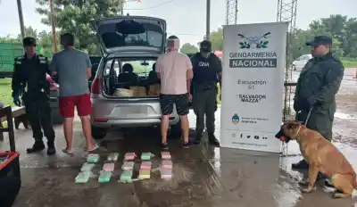 Preocupación en el NOA por la caída en los secuestros de droga: señalan salarios bajos y corrupción en fuerzas de seguridad