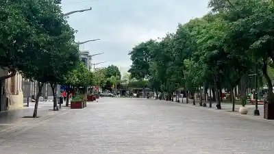 Domingo gris y templado en la región: ráfagas de hasta 59 km/h durante la noche