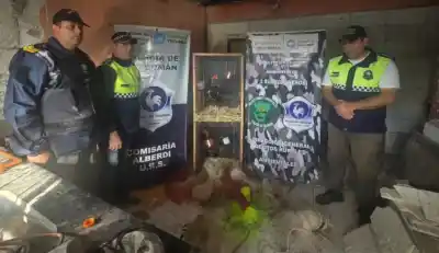 Robo de un celular en Alberdi destapó una red de narcomenudeo, armas ilegales y gallos de riña