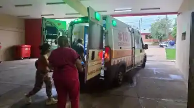 Misiones: un nene de 7 años fue atacado por siete perros mientras jugaba en el patio de su casa