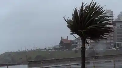 Temporal de viento en Buenos Aires: ráfagas de hasta 100 km/h y alerta naranja en la costa