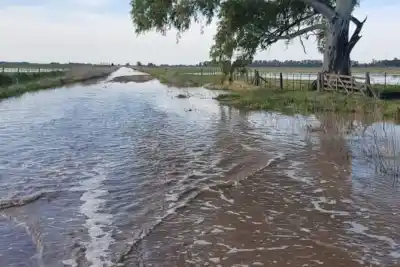 Alerta hídrica en General Villegas: el municipio activa medidas ante el avance de las complicaciones en zonas rurales