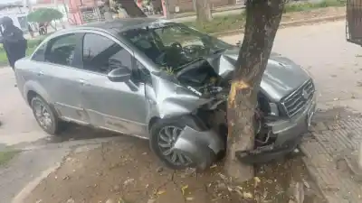 Chocó contra un árbol al esquivar un perro en el barrio Primera Junta
