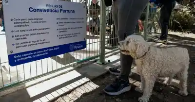 Rosario habilitó su primera plaza exclusiva para perros, tras la apertura del hospital veterinario municipal